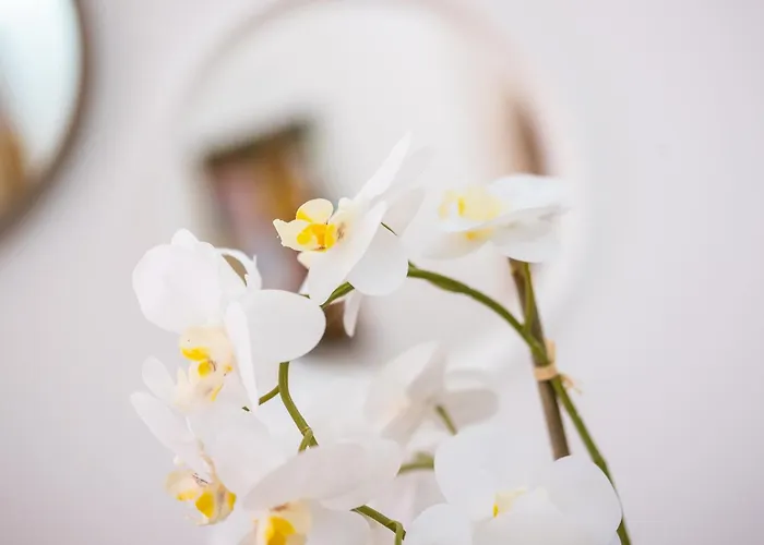 #009 Walk Everywhere Albufeira