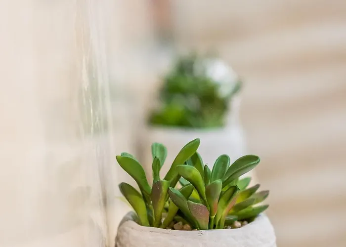 #009 Walk Everywhere