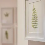 #009 Walk Everywhere البوفيرا