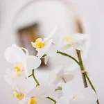 #009 Walk Everywhere البوفيرا